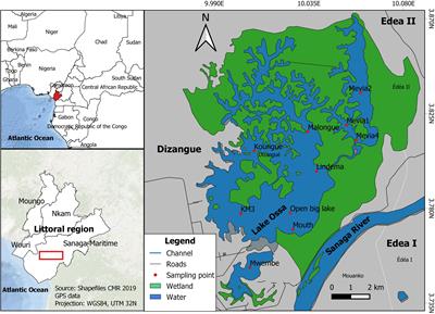 Acoustic methods improve the detection of the endangered African manatee